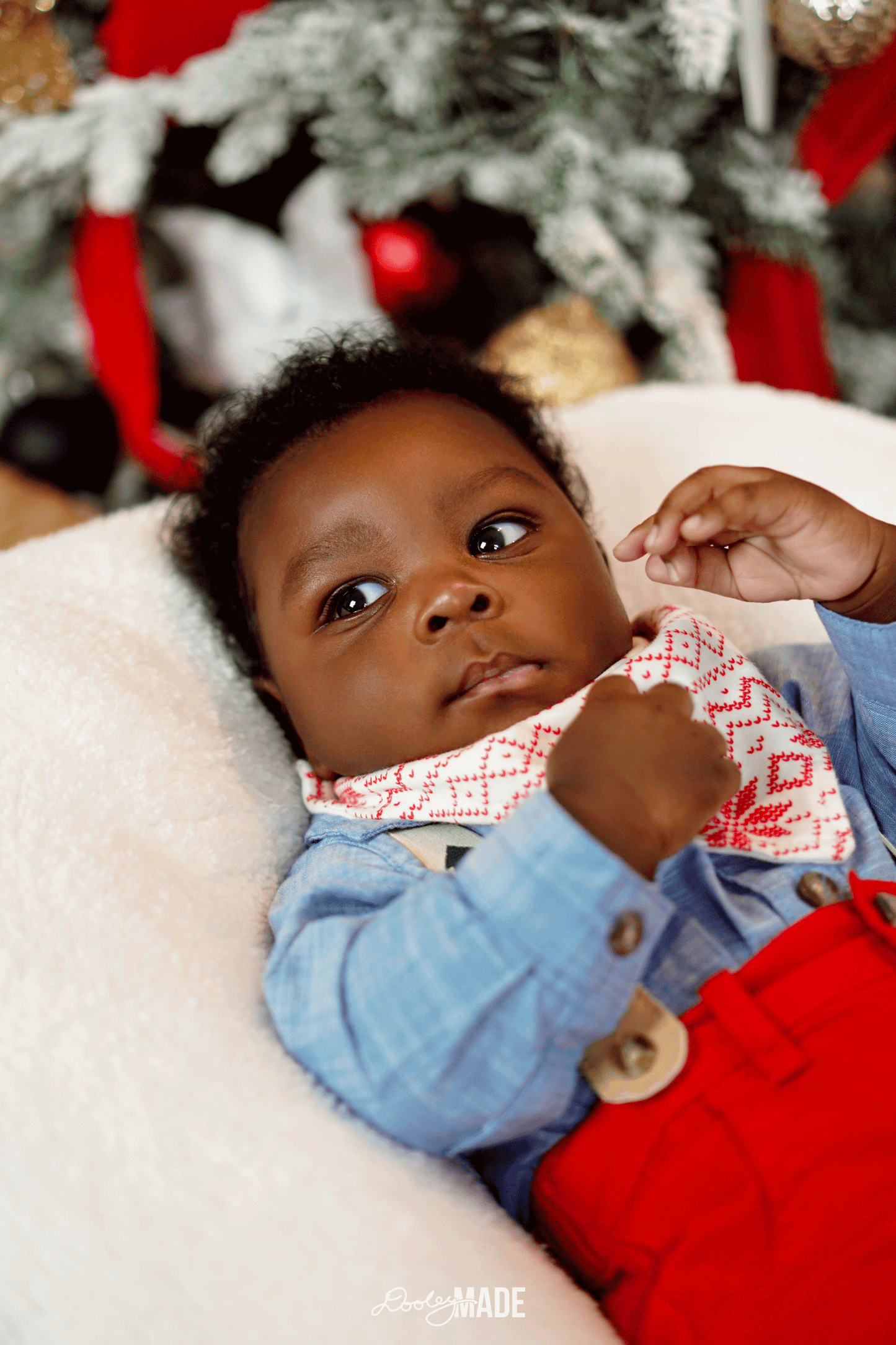 Personalized In-Home Photo Sessions - Dallas, TX